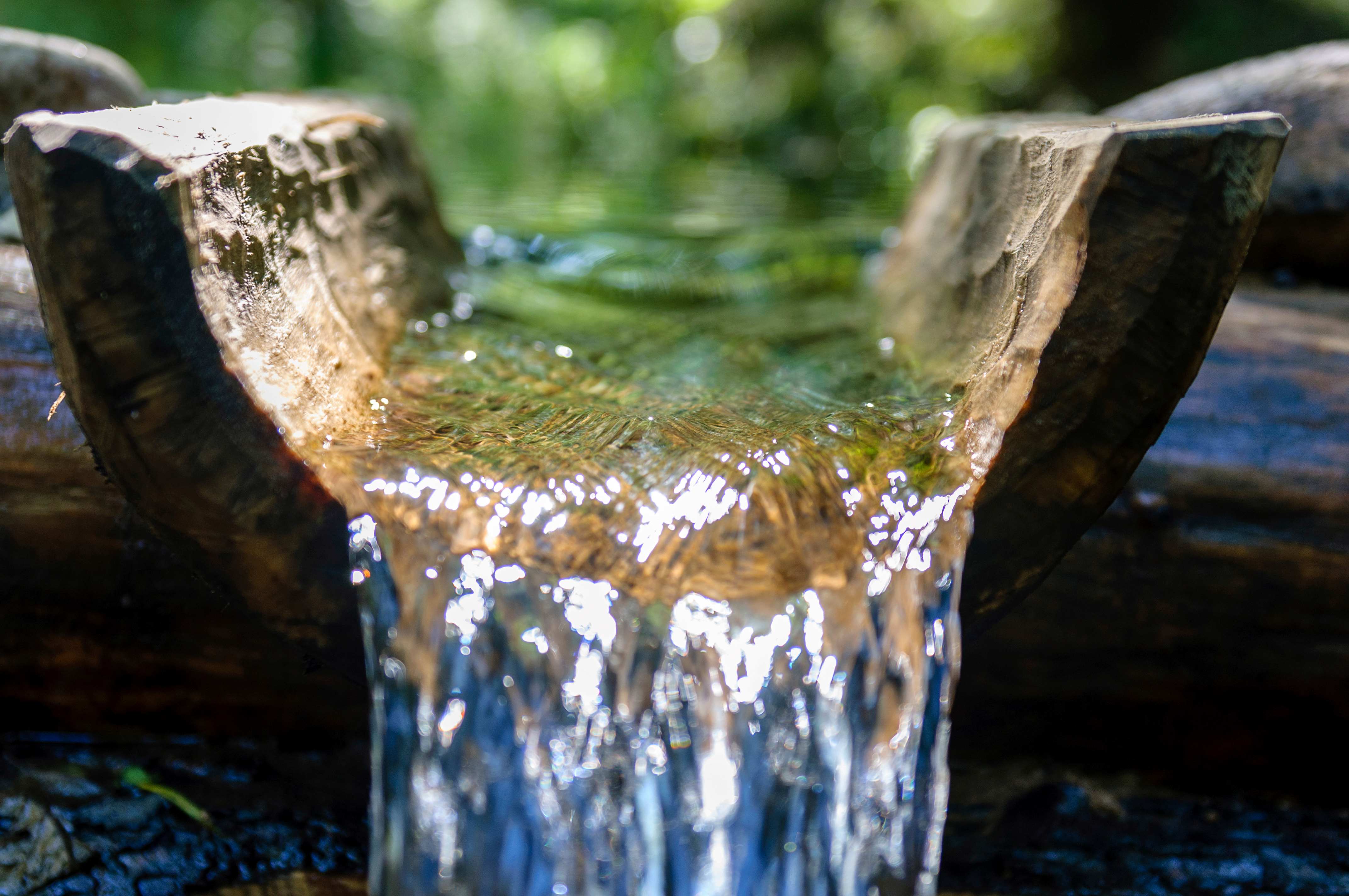 tanzen wie ich bin frauenkreis tanz meditation natur 