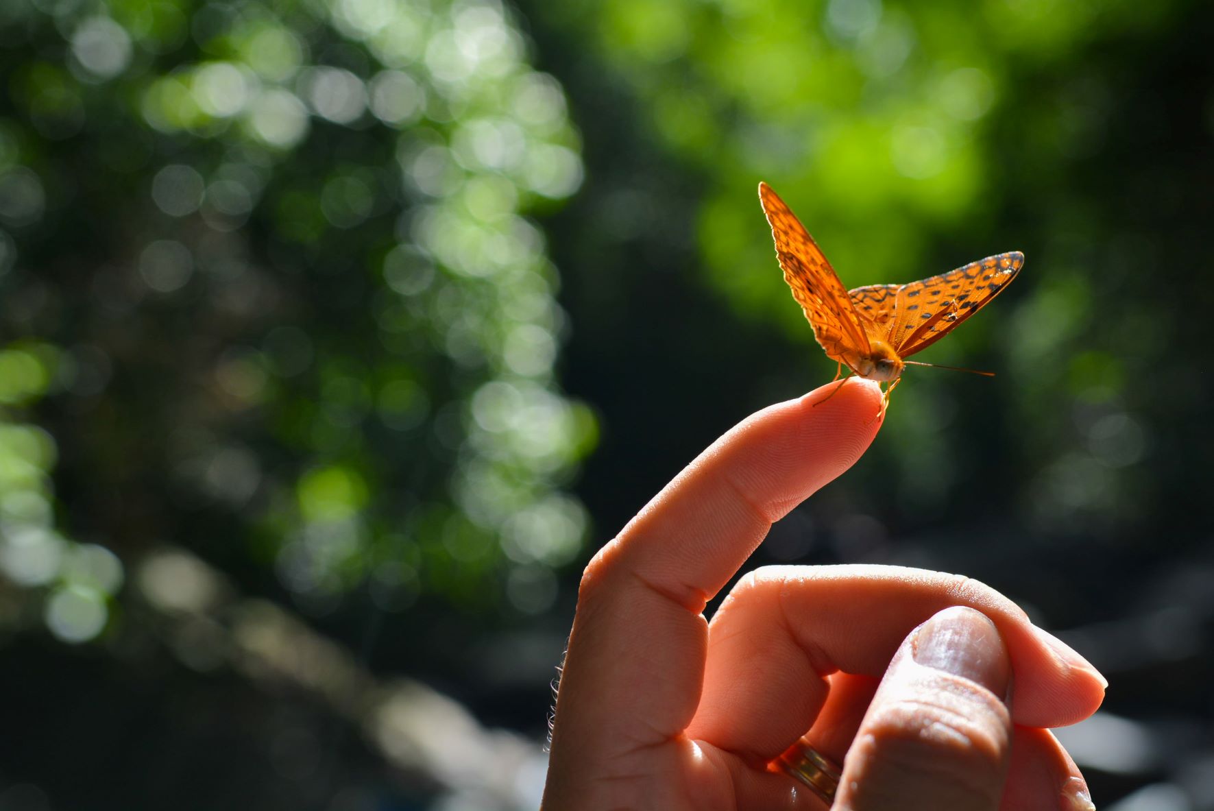 tanzen wie ich bin frauenkreis tanz meditation natur 