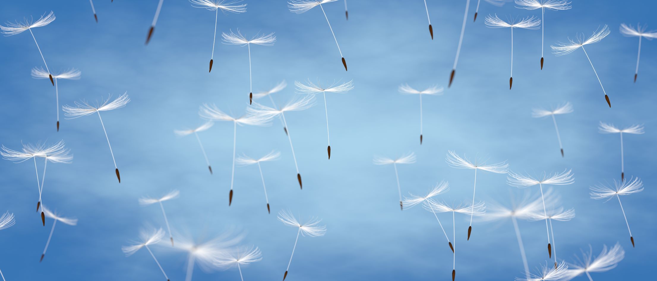 tanzen wie ich bin frauenkreis tanz meditation natur 
