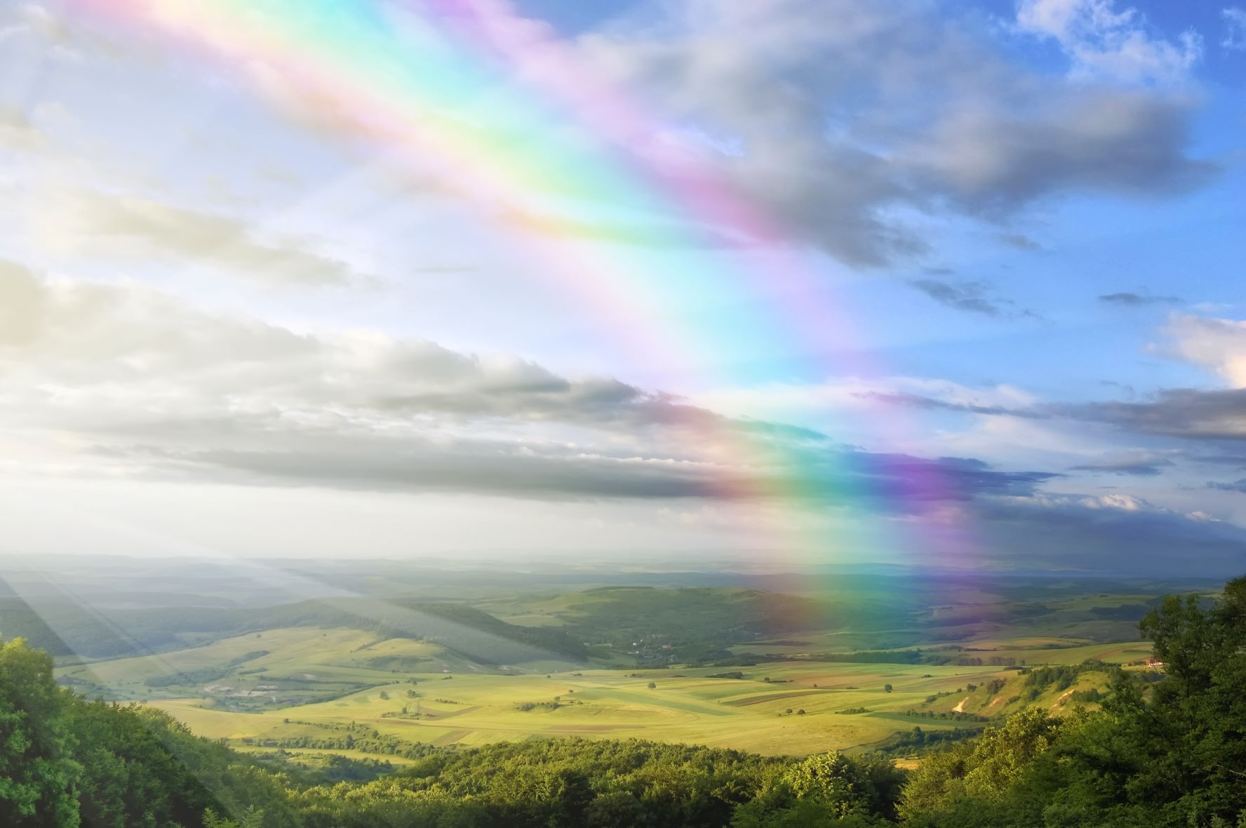 tanzen wie ich bin frauenkreis tanz meditation natur 