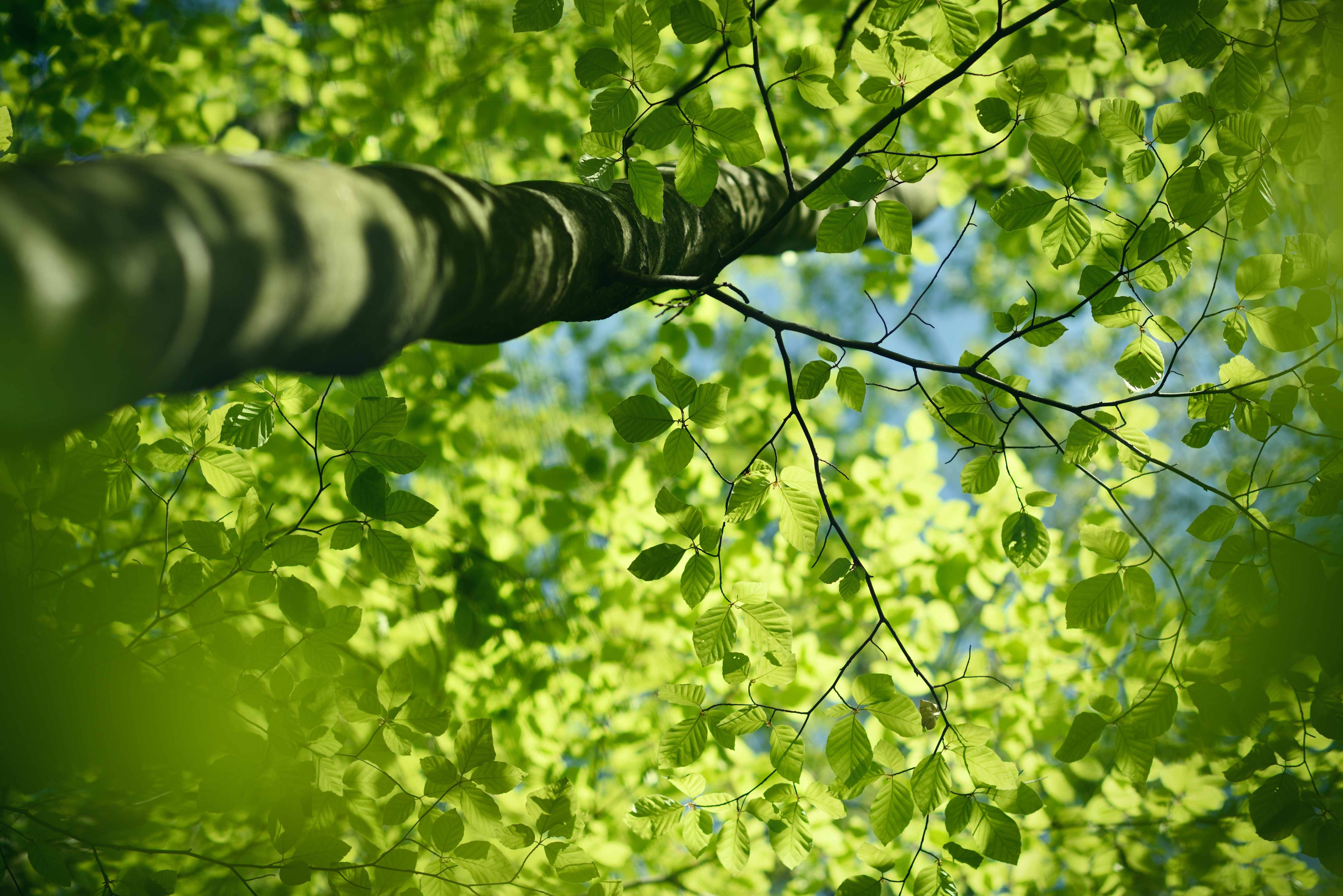 tanzen wie ich bin frauenkreis tanz meditation natur 