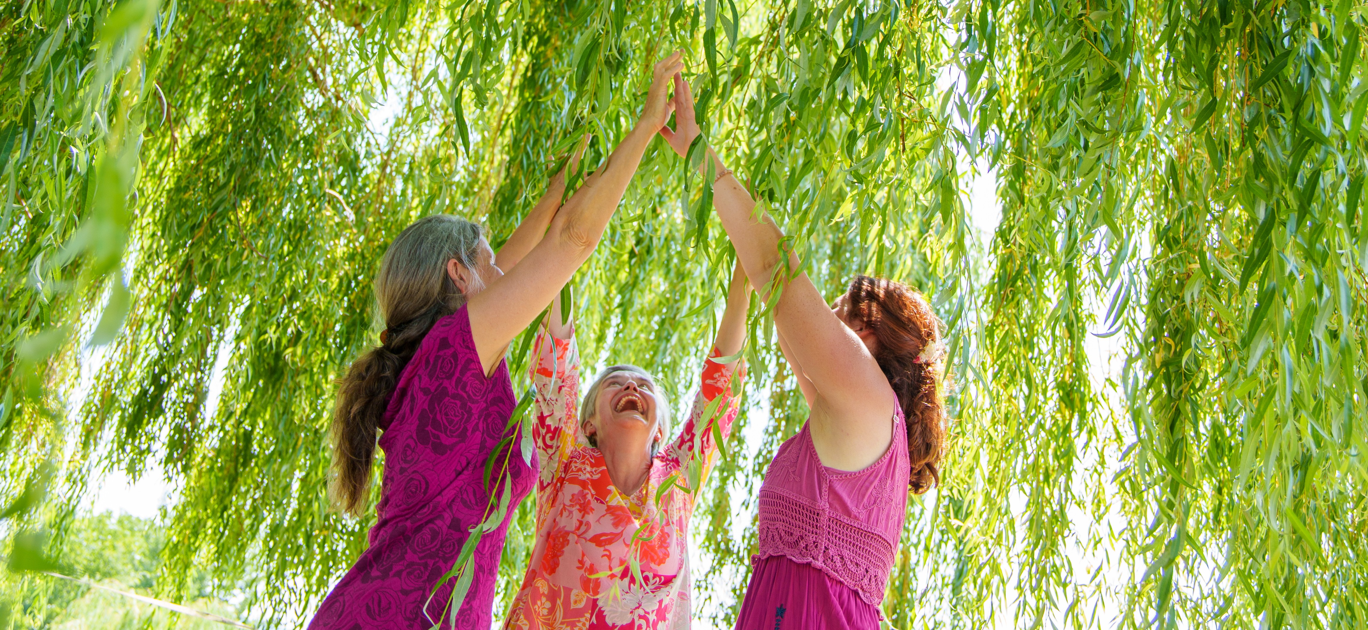 tanzen wie ich bin, tanztherapie für frauen, frauenkreis, natur, meditation, basel, arlesheim, stefanie heinis