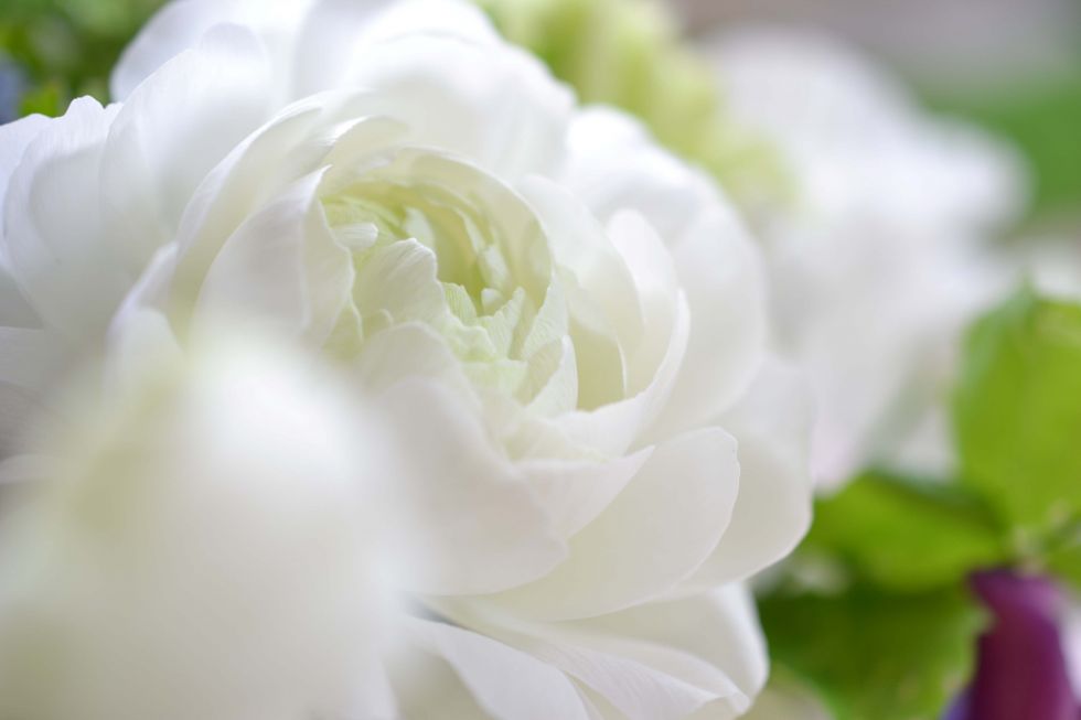 tanzen wie ich bin frauenkreis tanz meditation natur 