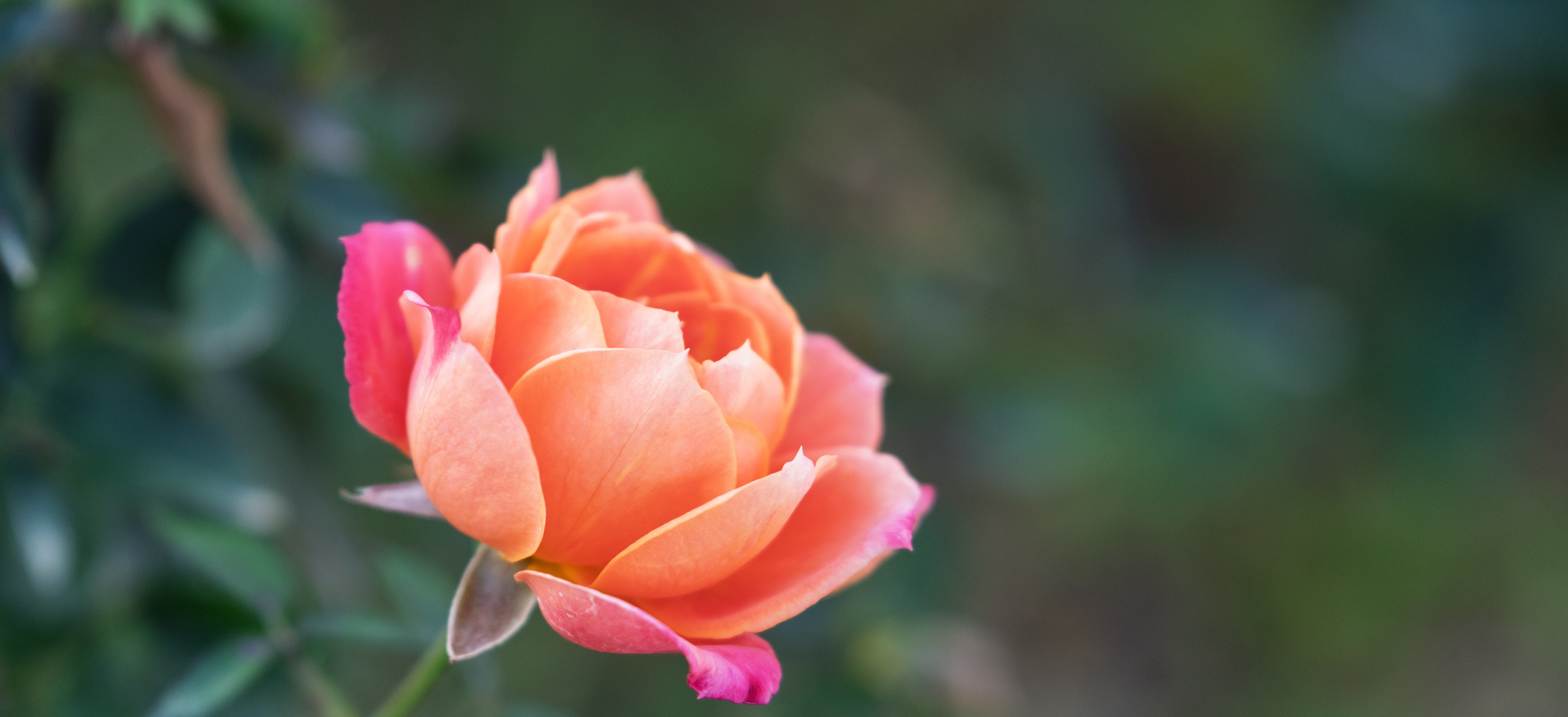 tanzen wie ich bin frauenkreis tanz meditation natur 
