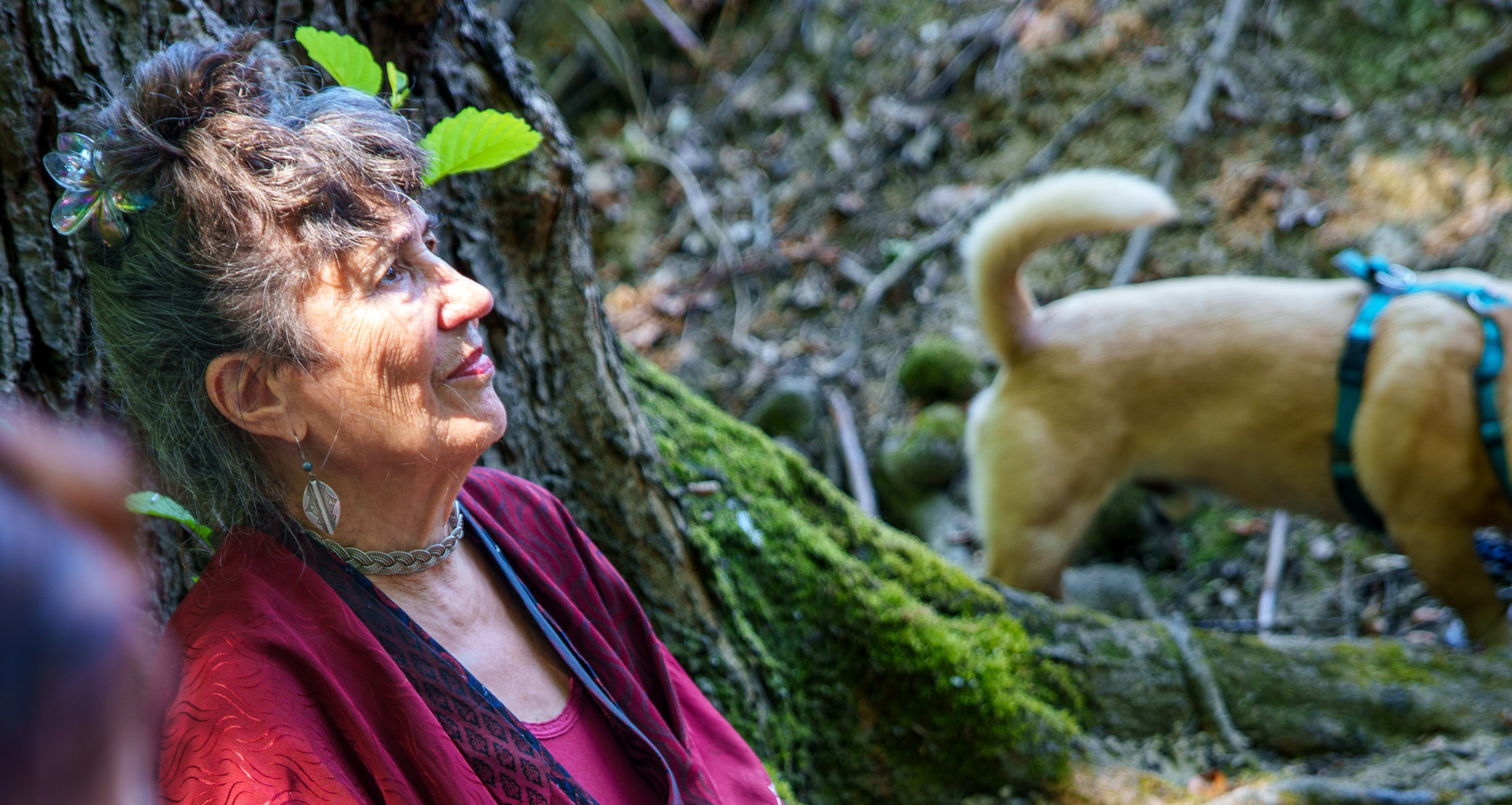 tanzen wie ich bin frauenkreis tanz meditation natur 