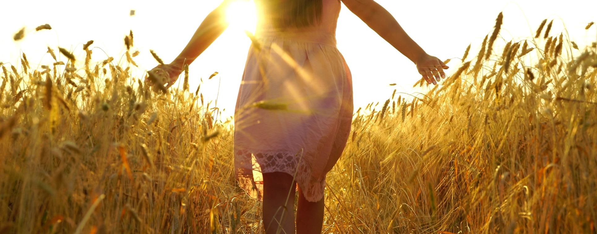 gold, herbst, ernte