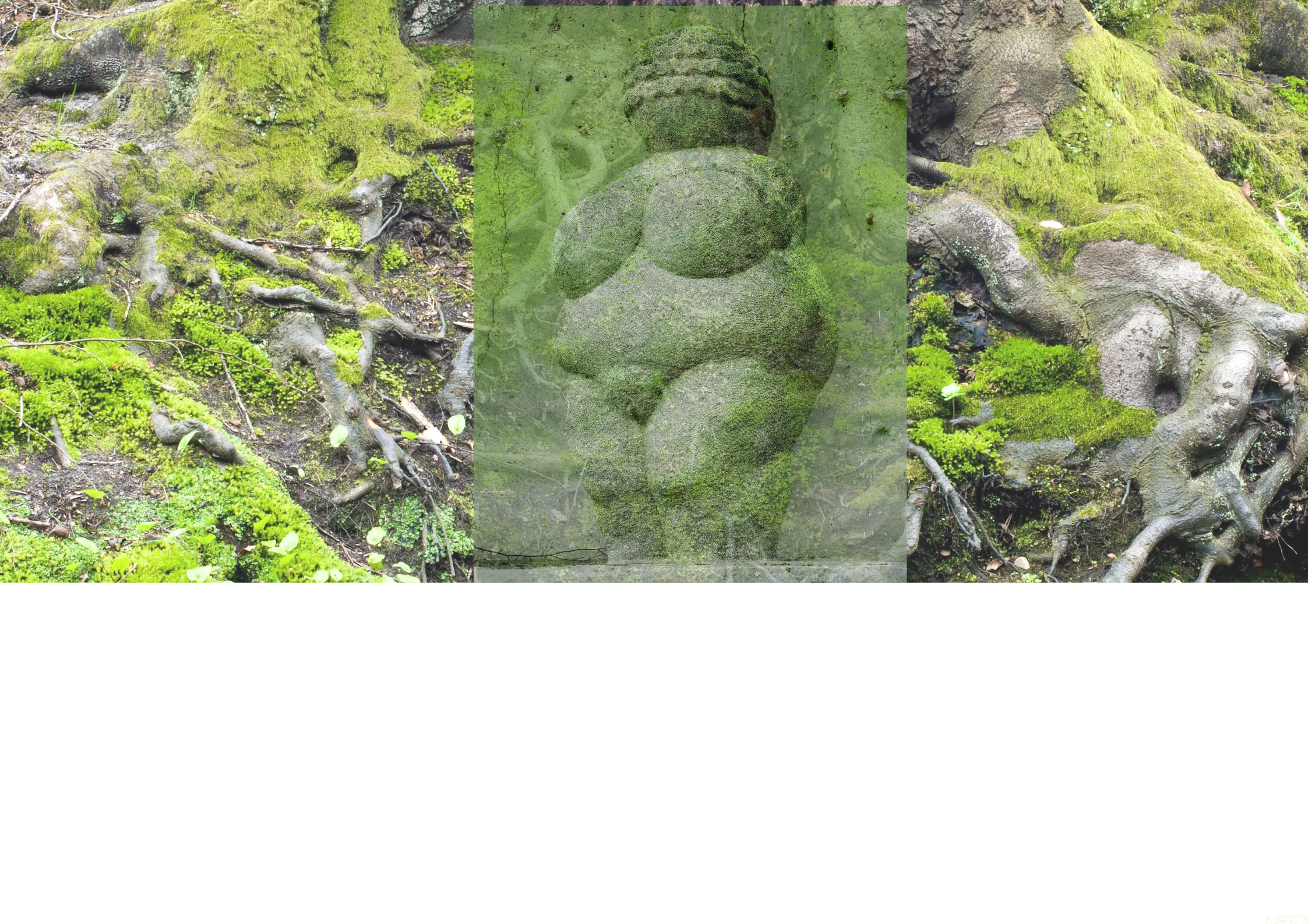 tanzen wie ich bin frauenkreis tanz meditation natur 