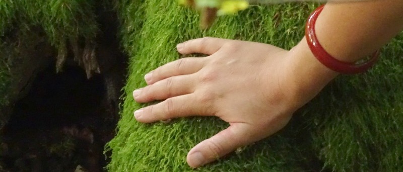 tanzen wie ich bin frauenkreis tanz meditation natur 