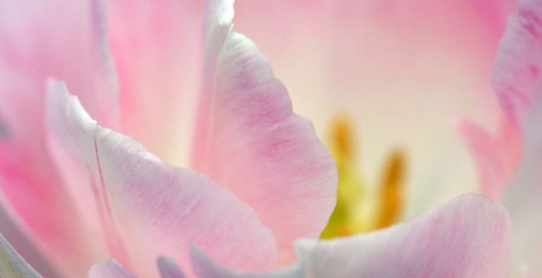 tanzen wie ich bin frauenkreis tanz meditation natur 