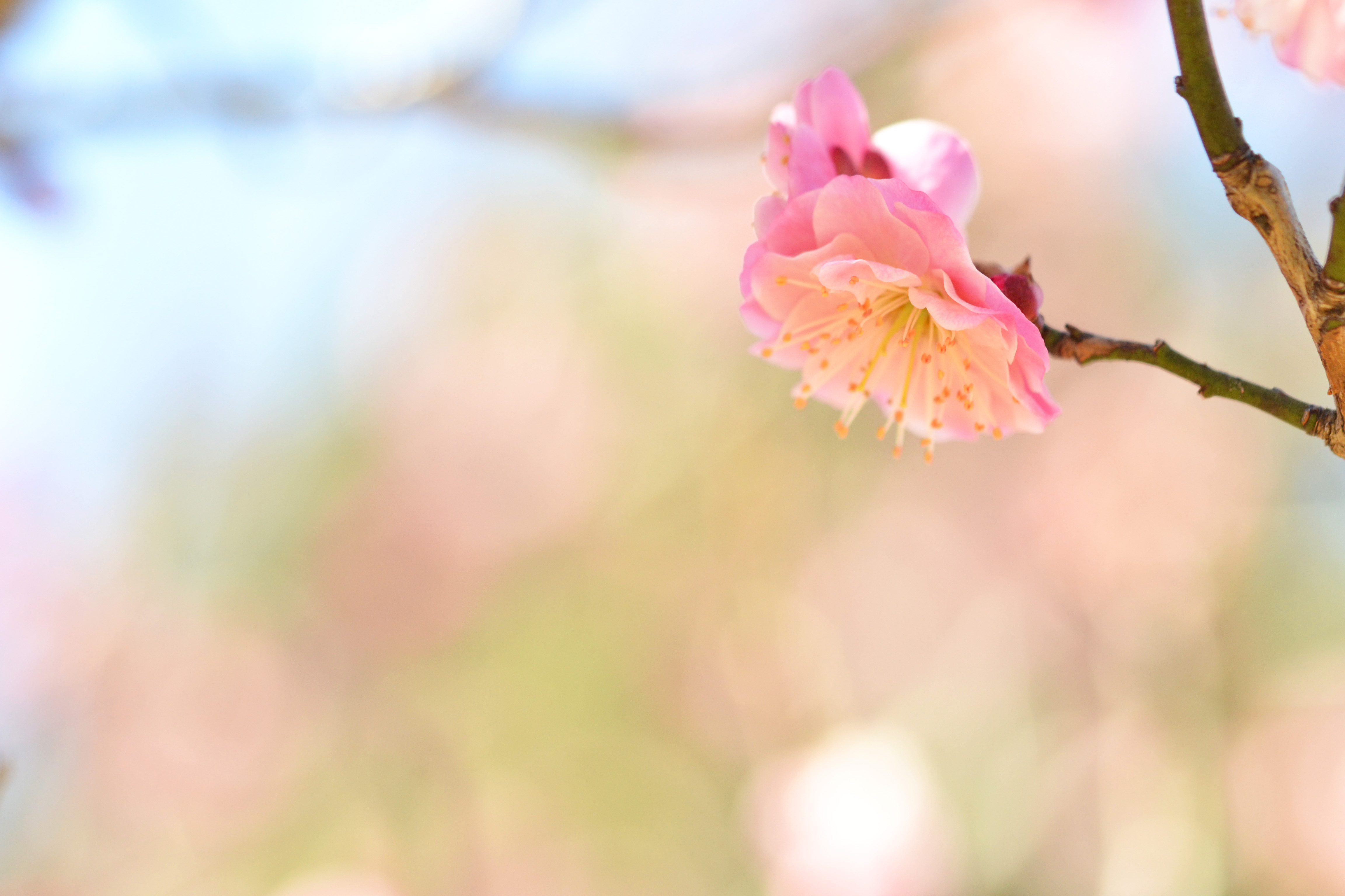 tanzen wie ich bin frauenkreis tanz meditation natur 