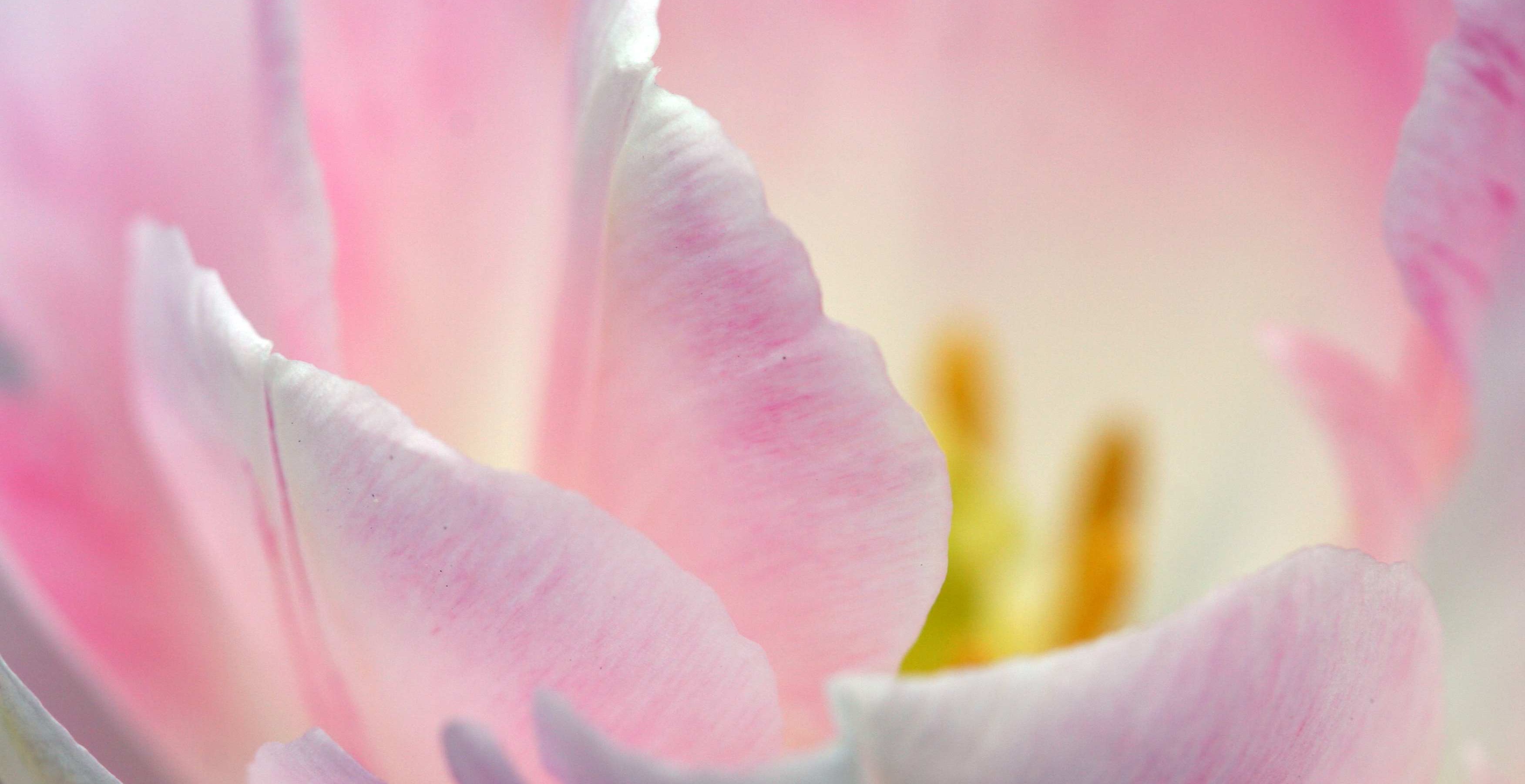 tanzen wie ich bin frauenkreis tanz meditation natur 