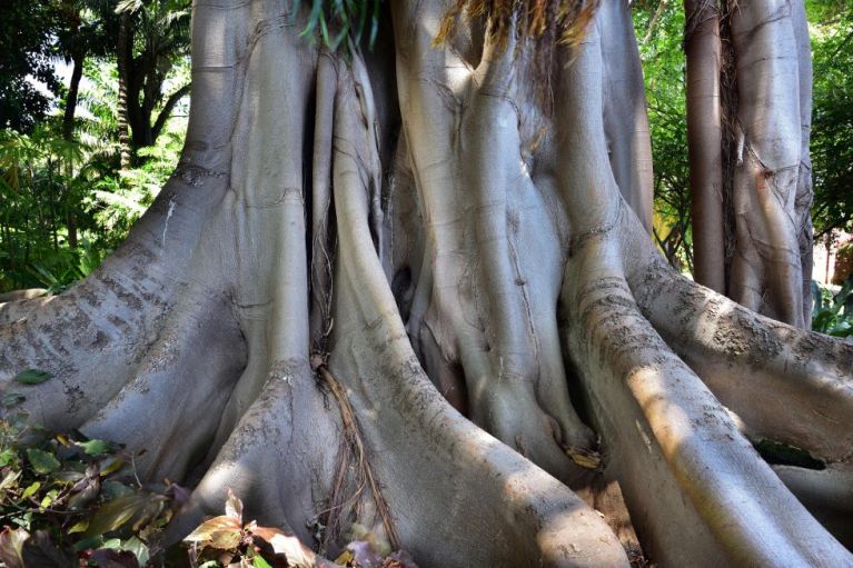 tanzen wie ich bin frauenkreis tanz meditation natur